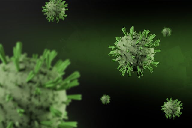 Hantavirus