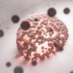 Human papillomavirus