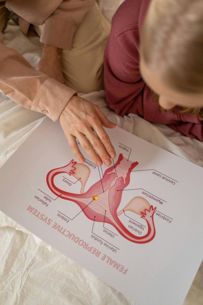 signs of estrogen dominance