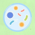 Antimicrobial Resistance