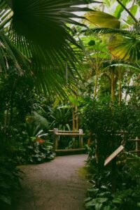 Tropical zones