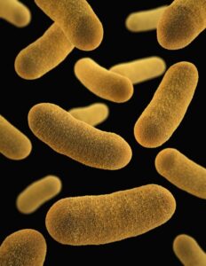 Yeast infection
