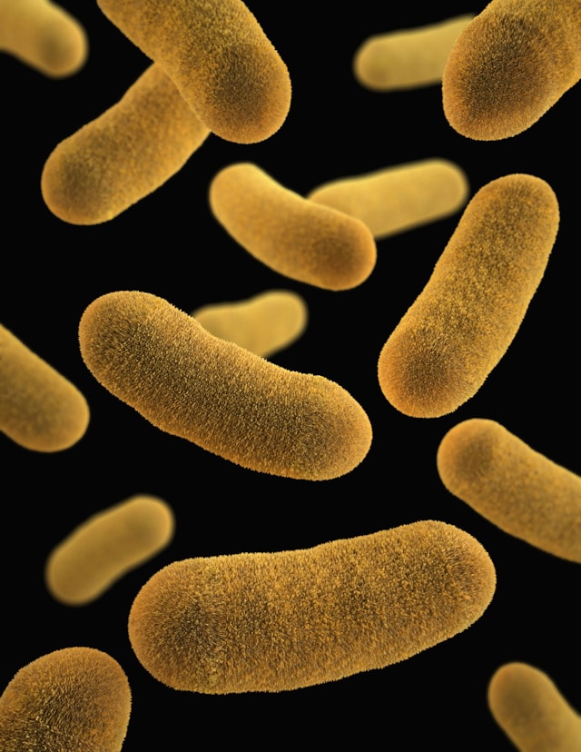 Yeast infection