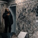 Mold toxicity