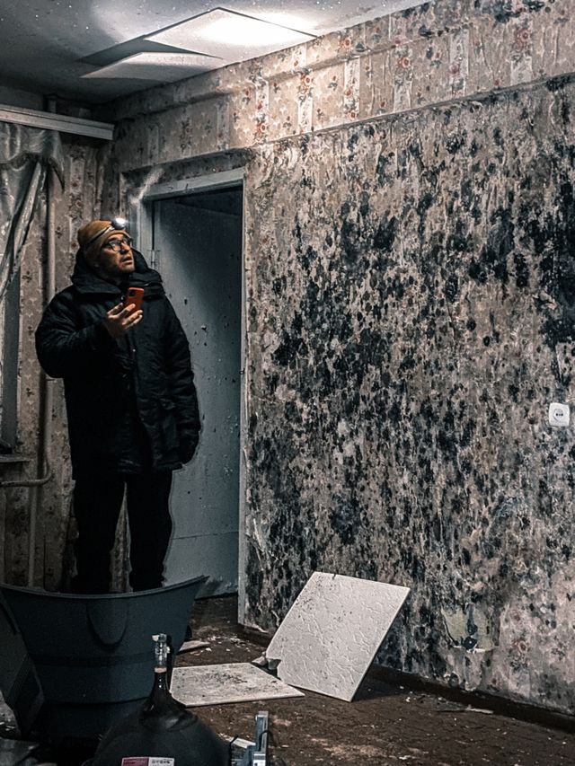 Mold toxicity