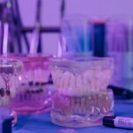 Lab-grown teeth as a future teeth replacement hope.