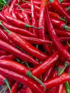 Cayenne