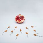 Sperm count