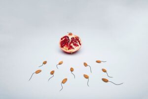 Sperm count