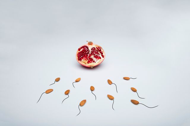 Sperm count